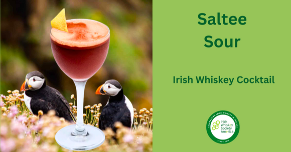 Saltee Sour - Irish Whiskey Cocktail