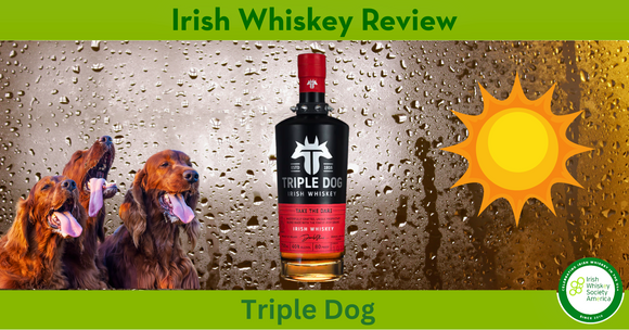 Triple Dog - August 2024 Irish Whiskey Review